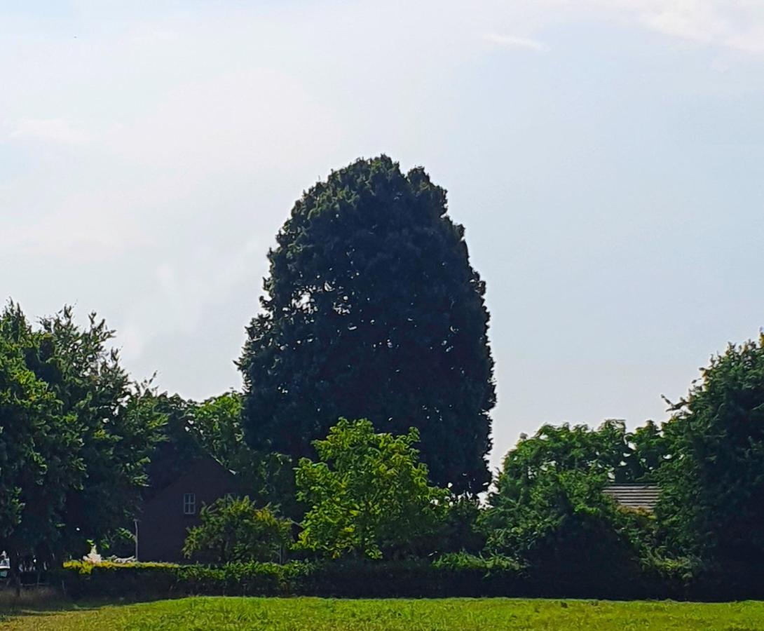 B&B De Nieuwenhof 'De Tuinkamer' Melderslo Bagian luar foto